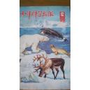 少年科学画报.9期合售，内含1977年创刊号，详见图片