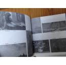 第六届全国美术作品展览水彩.水粉图录（12开画册.共展出水彩.水粉作品200件.84年1版1印！）
