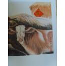 刘中:《刘中画集 三远堂》(补图)