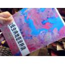 湖南省血吸虫病地图资料集（下册）