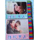 蹉跎岁月（电视剧版） 上下2册全套 8-85品