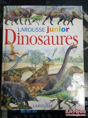 Larousse Dictionnaire Larousse junior, 7-11 ans, CE-CM