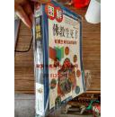图解佛教生死书：破解生命轮回的真相 9787807425038