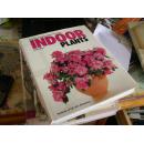 1991 年 Indoor Plants 室内植物  著名植物学博士 Heitz编辑  239页