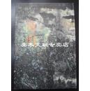 大8开精装版 厚册 《 廿世纪中国水墨画大系----赵卫 》 印刷清晰精美！