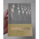 解放军歌曲（百期选）