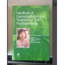 Handbook of Conceptualization and Treatment of Child Psychopathology