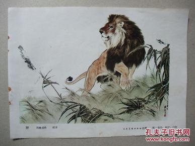 八十年代32开年画缩样散页 国画动物年画7张 狮 虎  熊猫 虎 双兔 双狮图等 刘继卣作