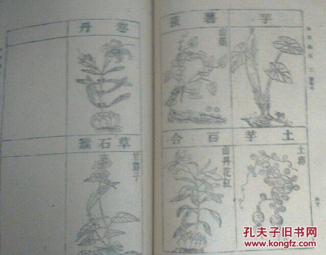 本草纲目（ 6册全）1930年版 1959印