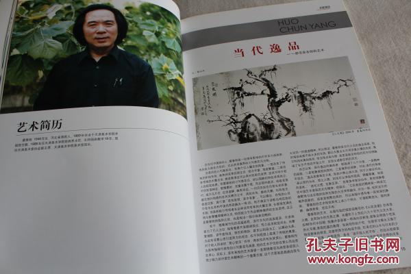 杨晓阳、霍春阳、林曦明、周矩敏、赵文元、王克文、乔宜男画集 神州博览