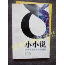 2008年中国小小说精选
