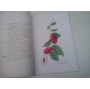 山西省主要果实品种图谱.第二辑 1963【彩图版】