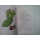 山西省主要果实品种图谱.第二辑 1963【彩图版】