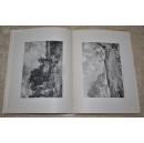 1937年《国家美术藏品》道林纸 外文原版本，图片多多，印刷精美