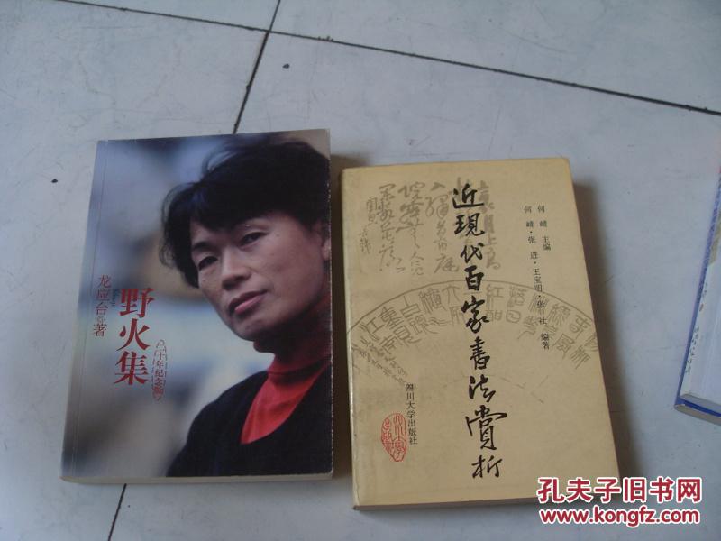 近现代百家书法赏析  一版一印