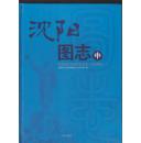 沈阳图志（中册）（2013年精装大16开1版1印）
