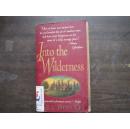 Into the Wilderness
