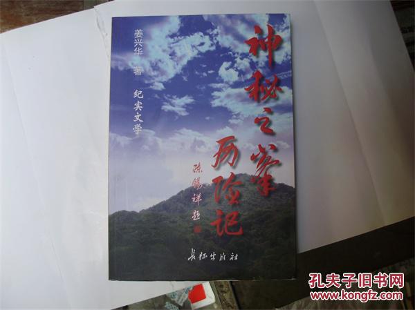 神秘之峰历险记