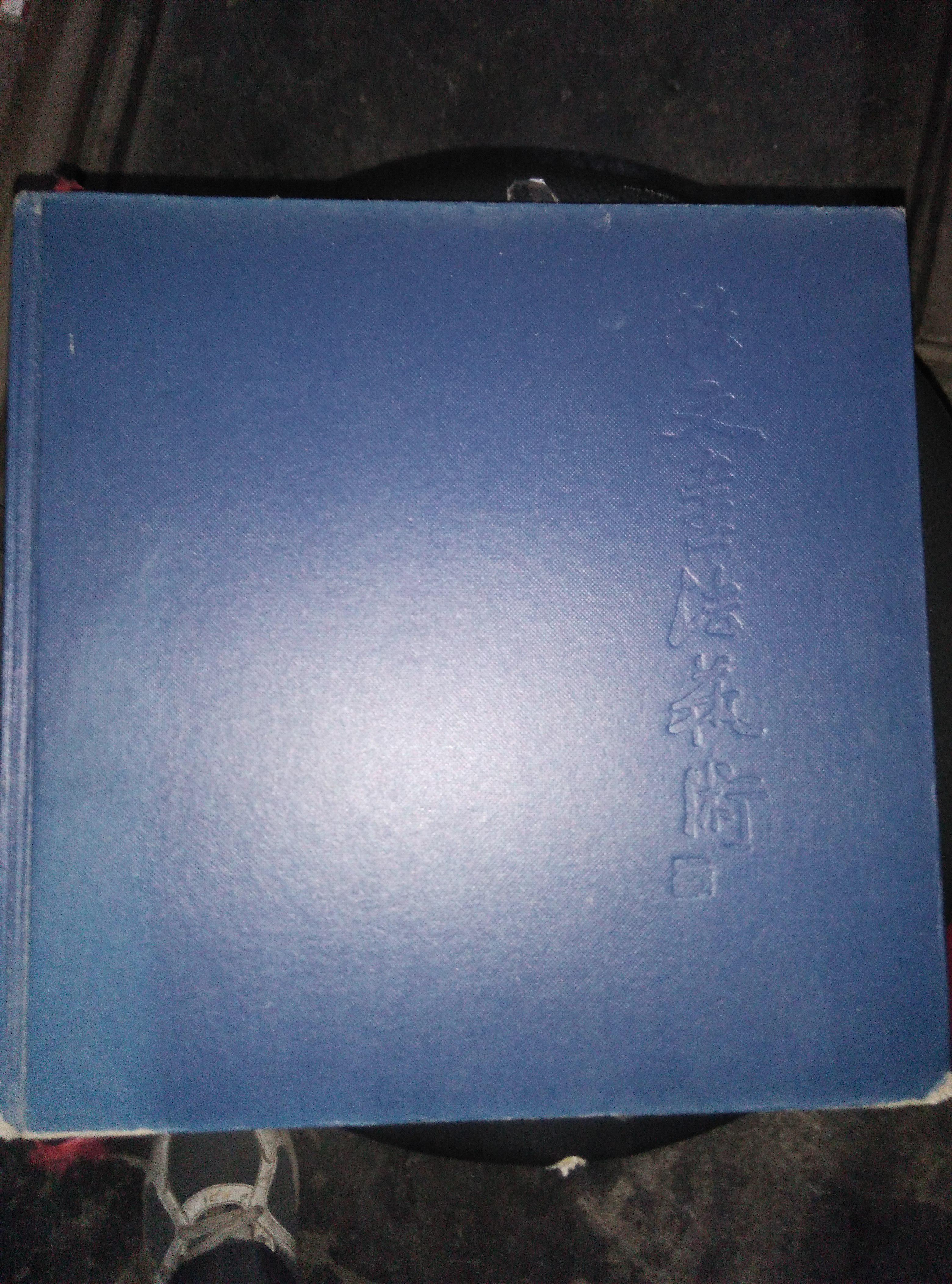 林文书法艺术（精装  大12开   缺书衣）