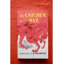 the Catcher in the Rye   麦田守望者