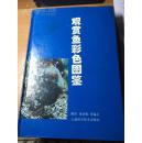 《观赏鱼彩色图鉴》，上海科学技术出版社，1996年，269页