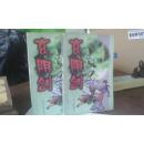 玄阴剑(上下册)