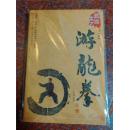 武当太乙游龙拳 朱明元  湖南科学技术出版社  2008年   167页 9品