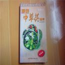 原色中草药图集：根茎2