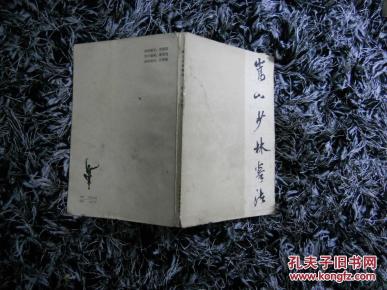 嵩山少年拳法