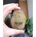 天然奇石观赏石马达加斯加玛瑙籽料原石手把件摆件收藏品：好牙口