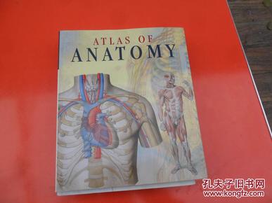 ATLAS OF  ANATOMY（英文原版彩色解剖图谱）