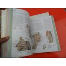 ATLAS OF  ANATOMY（英文原版彩色解剖图谱）