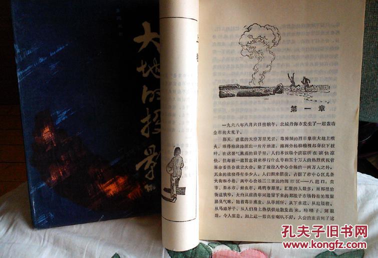 大地的投影(上下) 赵华胜 插图    (10品非馆藏)