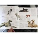 《最新犬百科全书》，416页