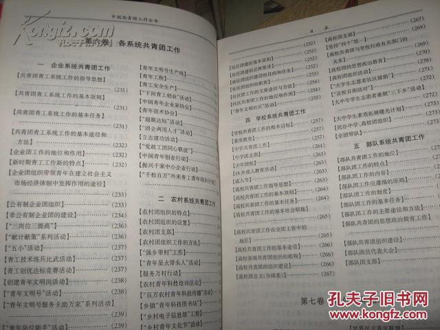 中国共青团工作全书