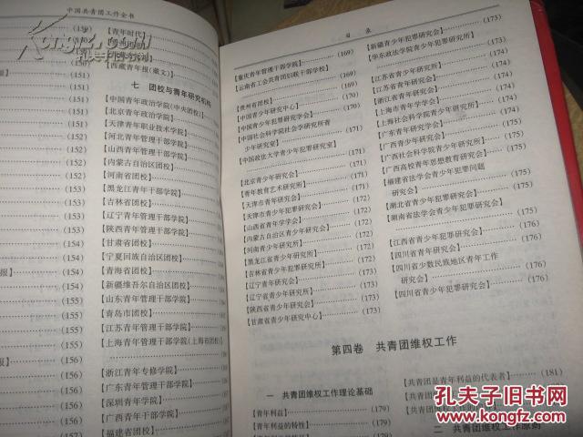 中国共青团工作全书