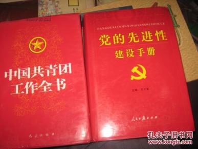 中国共青团工作全书