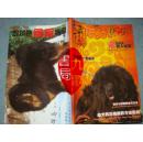 《天下藏獒》创刊首期 2009年1月创刊 2月出版. 中华藏獒网藏敖专刊 私藏
