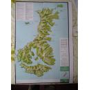 《新西兰奥克兰岛大地图》（复制版）
