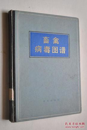 畜禽病毒图谱【总论（概述。病毒形态结构类型。病毒的复制过程。动物病毒的分类）。各论（疱疹，痘，腺，虹色，细小、乳多空，微核糖核酸，嵌杯，呼肠，披盖，嵌沙样，冠状，反转，布尼安，正粘，副粘，弹状病毒科。）】【全书共收入照片二百余幅】【序“病毒是引起人、畜传染病的主要病原因子之一。国内外医学界和兽医界在研究病毒的形态、理化特性、免疫反应以及防制措施等各个方面，都取得了重大的成就。...”】