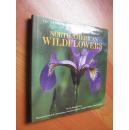 国家奥杜邦协会收集自然系列《北美野花》 THE NATIONAL AUDUBON SOCIETY COLLECTION NATURE SERIES：North American Wildflowers