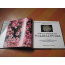 国家奥杜邦协会收集自然系列《北美野花》 THE NATIONAL AUDUBON SOCIETY COLLECTION NATURE SERIES：North American Wildflowers