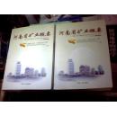 河南省矿业概要 上下册 （16开本 原价480元）