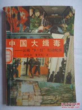 中国大缉毒:云南“8.31”行动纪实