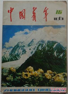 《中国青年》1981--16