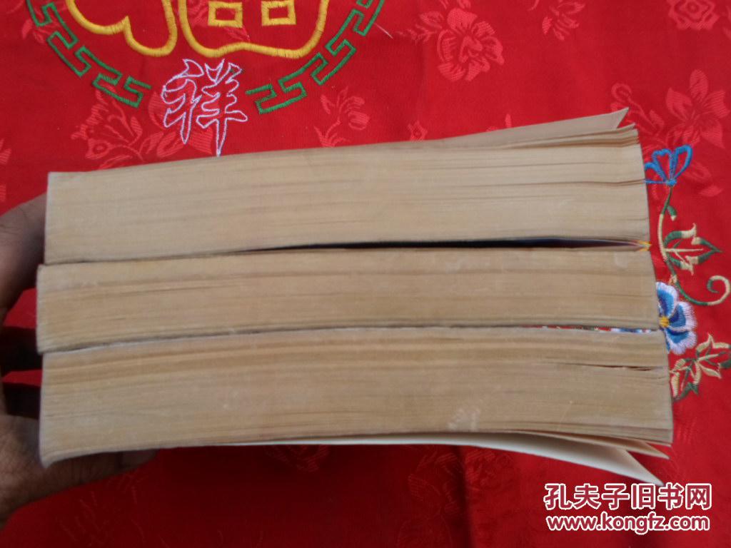 第三帝国的兴亡:纳粹德国史【全三册】