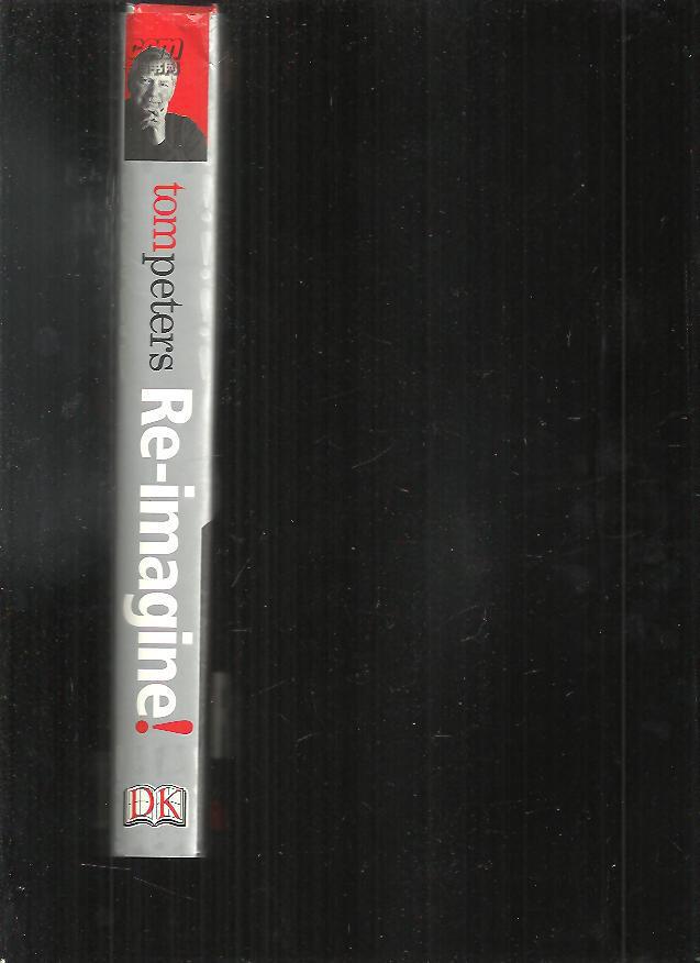 Re-Imagine! Business Excellence in a Disruptive Age【精装】重新想象：卓越的商业行为中的发育