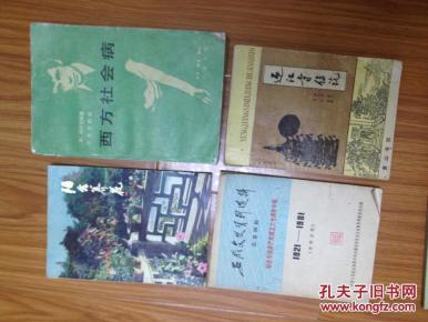 《迎江寺传说》（释皖峰著）