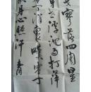 项金栗：书法：《过零丁洋》是宋代大臣文天祥在1279年经过零丁洋时所作的诗作。（项金栗  字 伯奇，斋号 积字斋。男 汉族，1944年出生，浙江温州人。 毕业于中国书画函授大学。现为中国诗书画联谊会常务副主席、 中国书画家协会理事、 国际一级书法师、 中国书法函授学院客座教授。）（带简介）