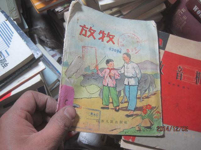 4685 放牧
